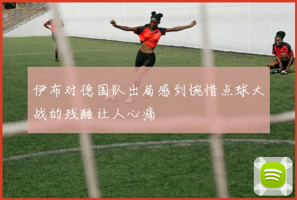 伊布对德国队出局感到惋惜点球大战的残酷让人心痛